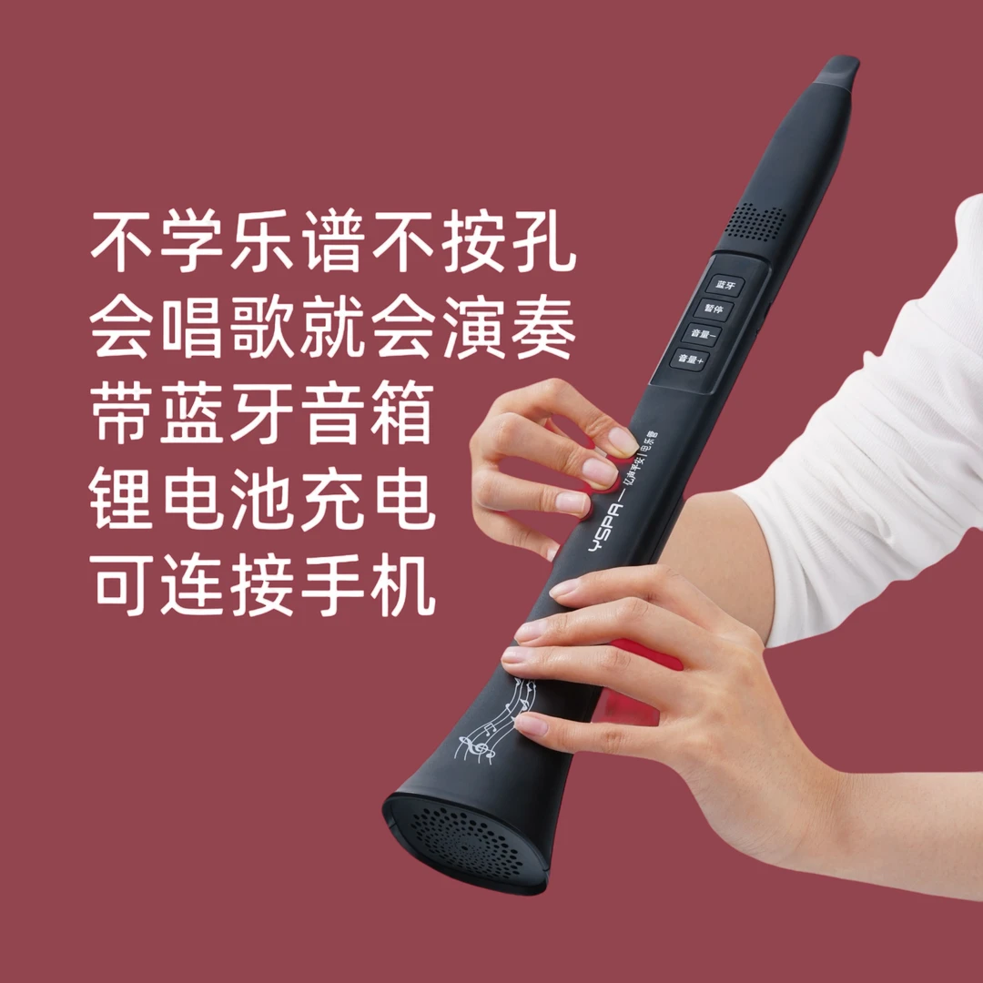会唱歌就会的乐器 电乐管 自带蓝牙 可连接 音箱