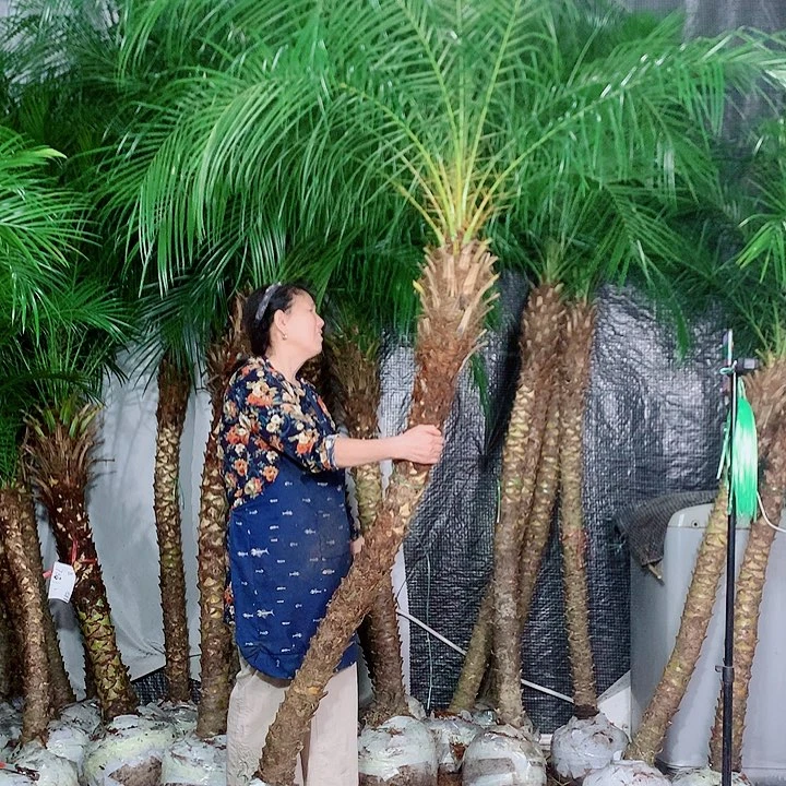 人***湖无花朵1111111111