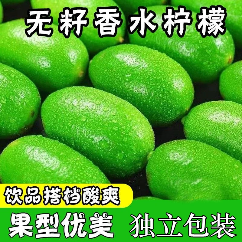 【独立包装】海南无籽香水柠檬新鲜水果皮薄多汁奶茶店香水柠檬批发