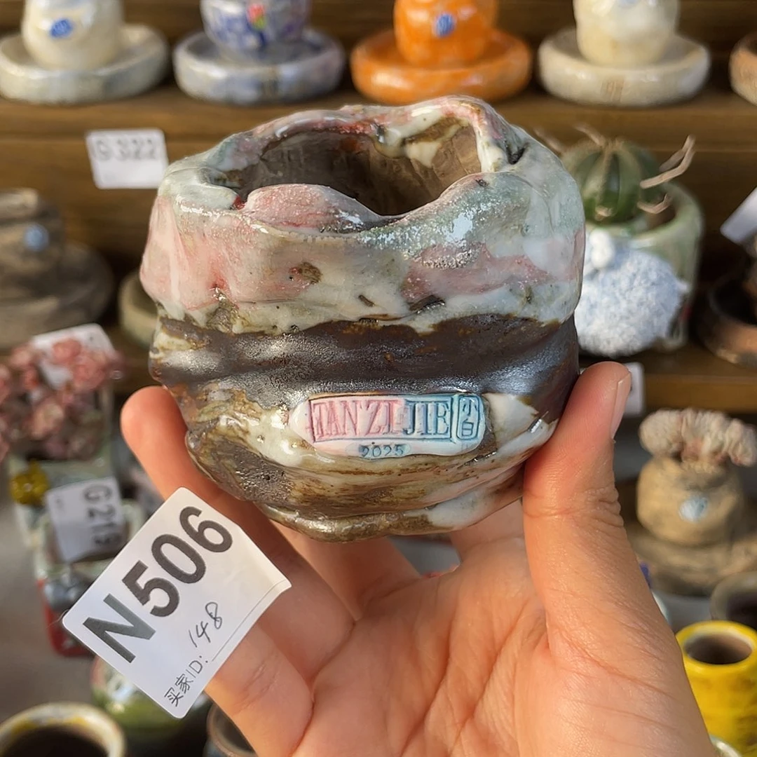 坛子姐花盆  小白孤品 内口5.5百搭