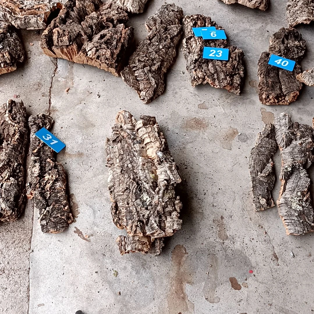 木一物一拍一物一发