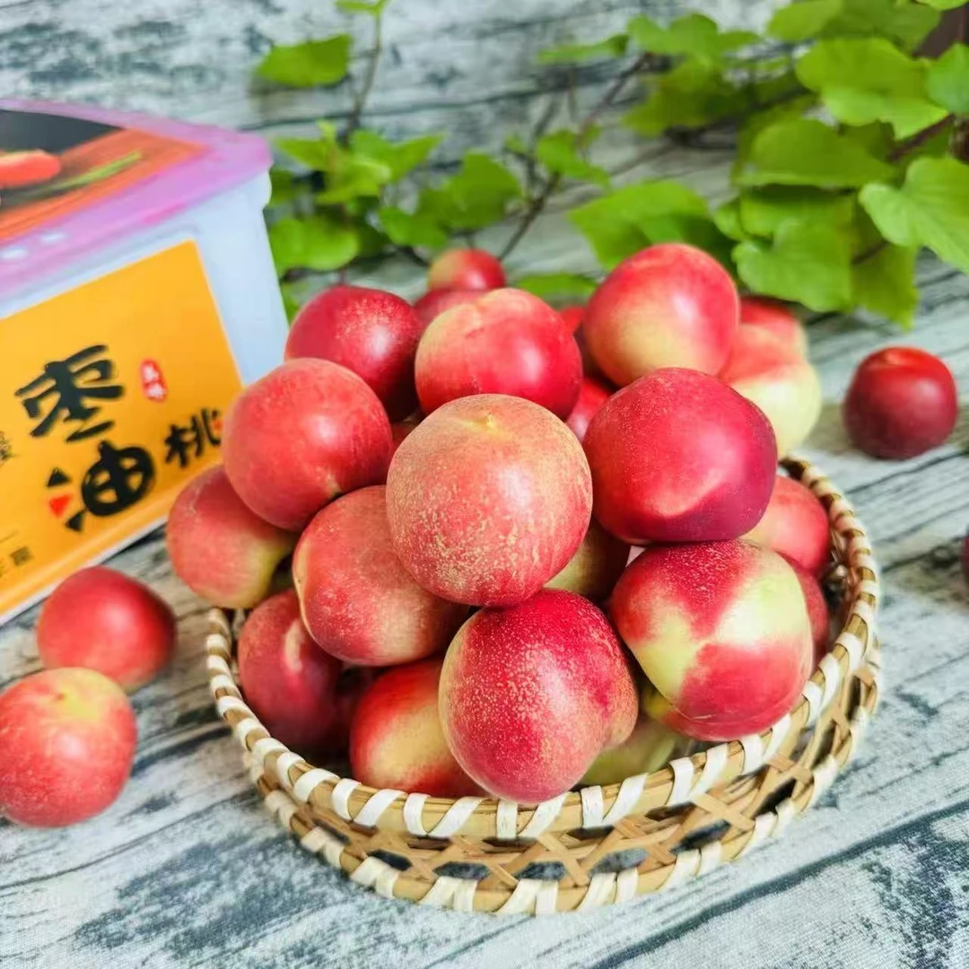 【全国八省】珍珠枣油桃   桃香味儿十足  带框8斤左右