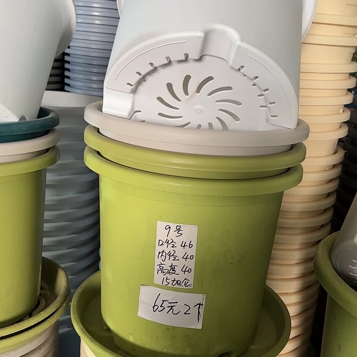 微瑕9#口径46无托果绿3个