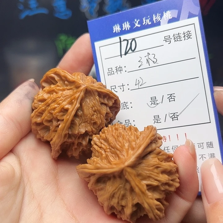 文玩核桃吊坠核桃树等120