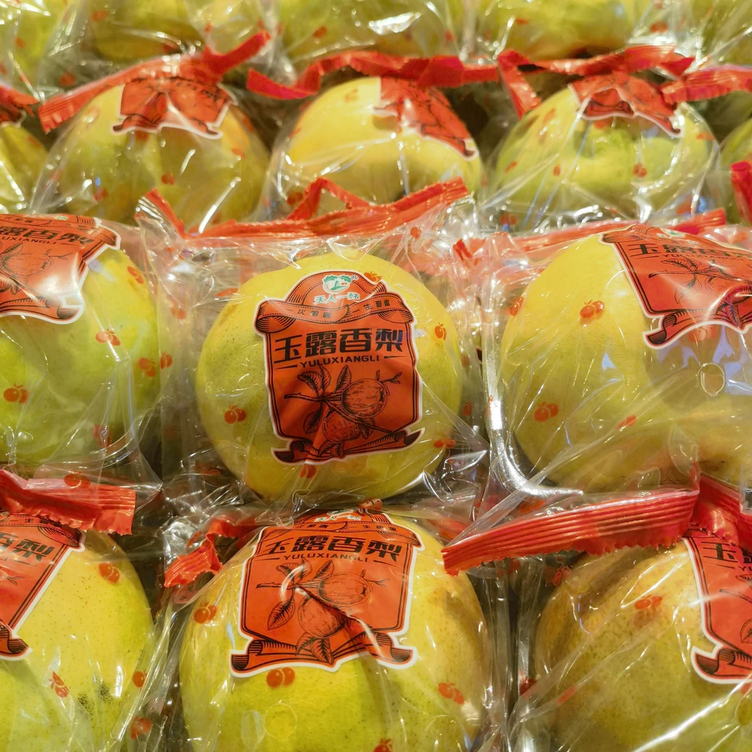 玉露香梨