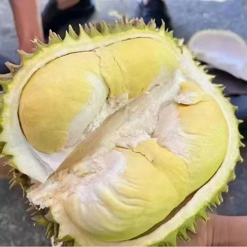 （青山店）泰国金枕榴莲福利果湿包两斤半纯果肉核小鲜榴莲（不包售后介意慎拍）金枕泰国