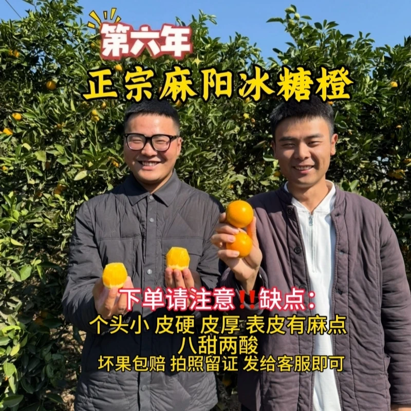 铁娃鲜果 正宗麻阳冰糖橙现摘现发8.5-9斤装坏果包赔送水果刀