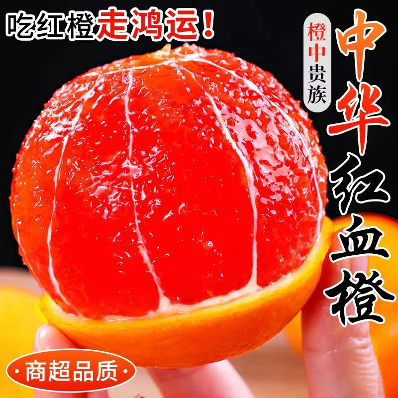 【橙中贵族】中华红血橙新鲜水果当季3/5/9斤现摘秭归红橙甜脐橙子