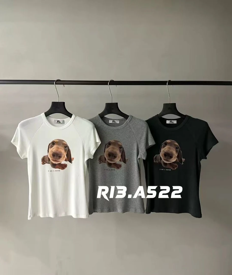R13正品早秋新款 很可爱的小狗狗紧身弹力短袖T恤女