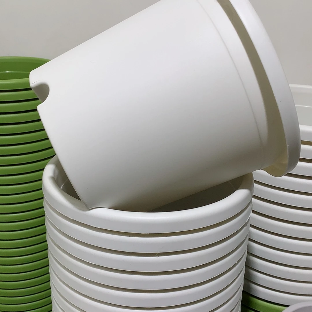 树脂四季口25白10个无托