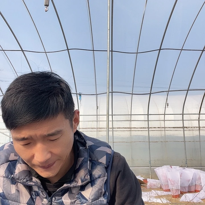 用***0蜜罐一物一拍树枝