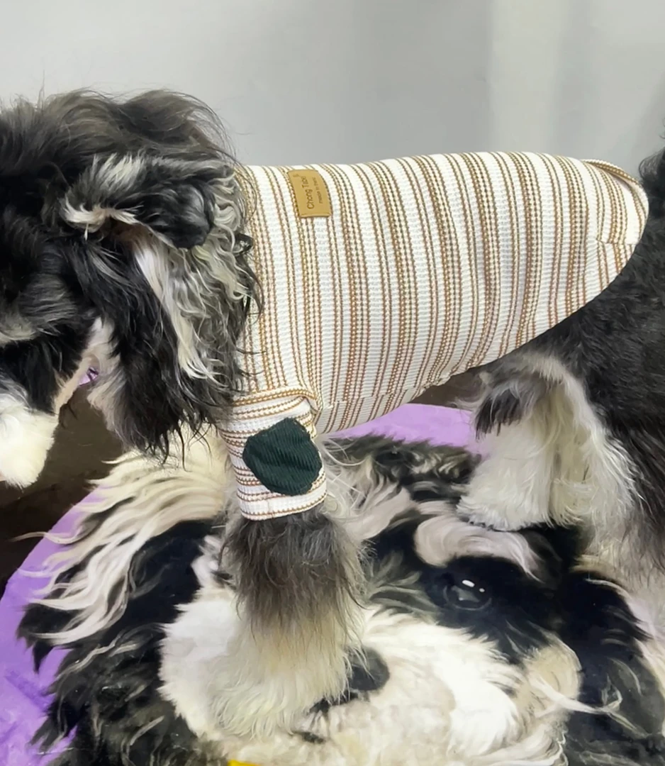 宠物夏季衣服补丁打底衫泰迪犬雪纳瑞秋装比熊睡衣小奶狗保暖衣服