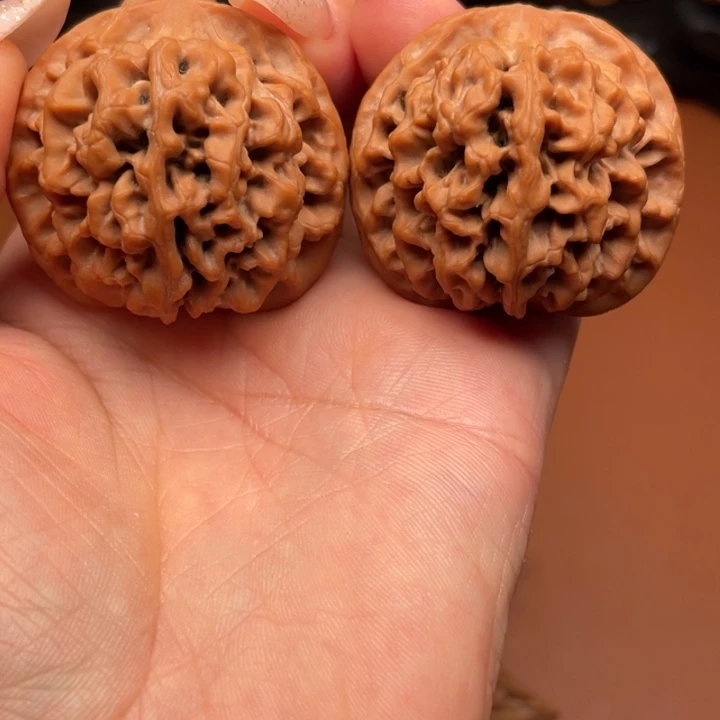 洋***哥香榧木秦核等人的故事都是在一个故事