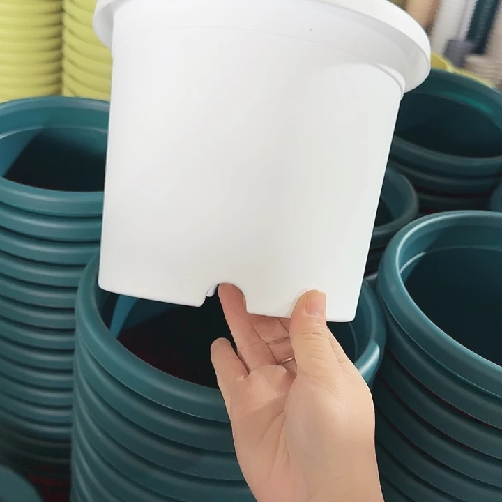 四季3#口径21白色10个无托