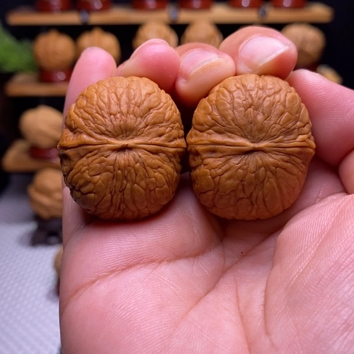 木质类云铁落宝40号