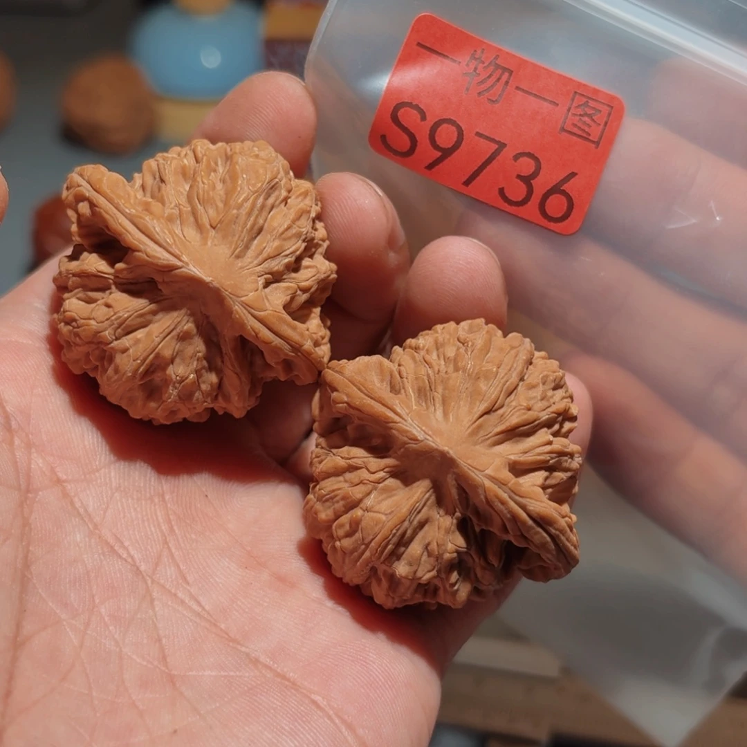 文玩核桃把件望月