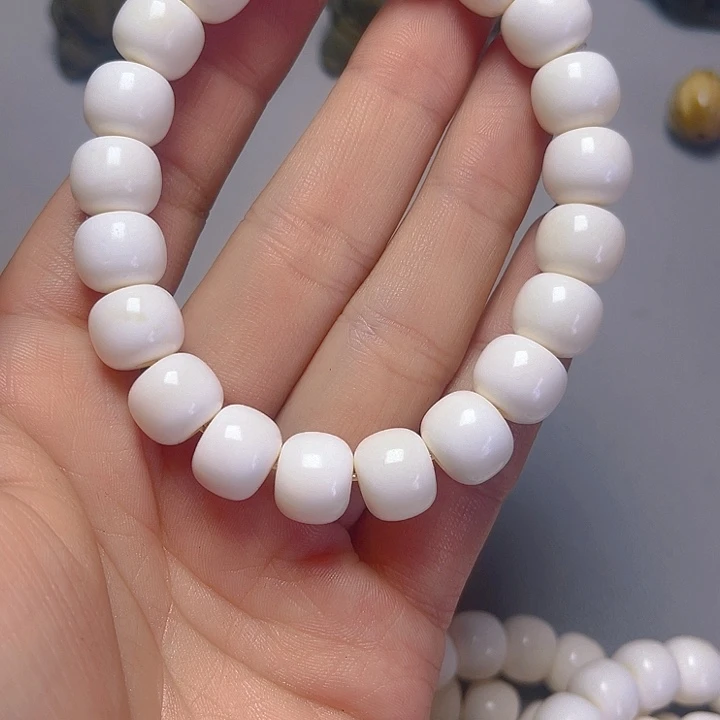 大果紫檀（缅甸花梨）