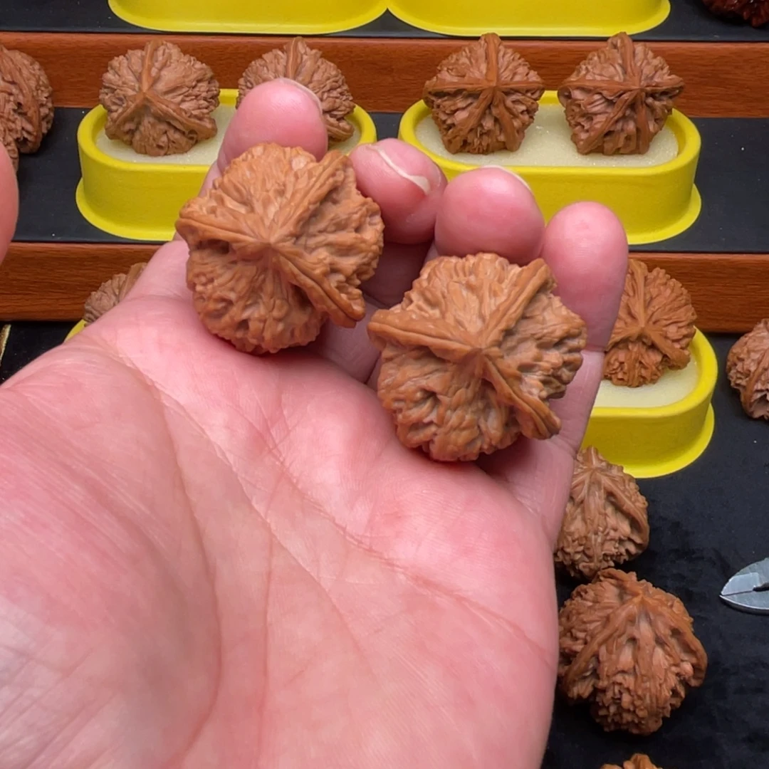 核桃手串/手链人丁兴旺全品36