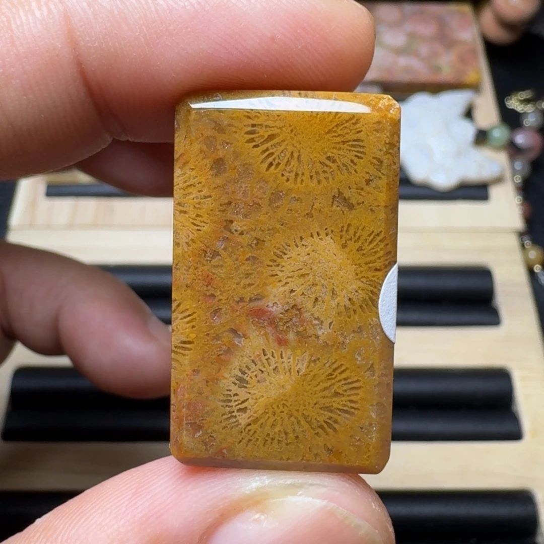 硅化玉未镶嵌纯天然色有机玉石保真色