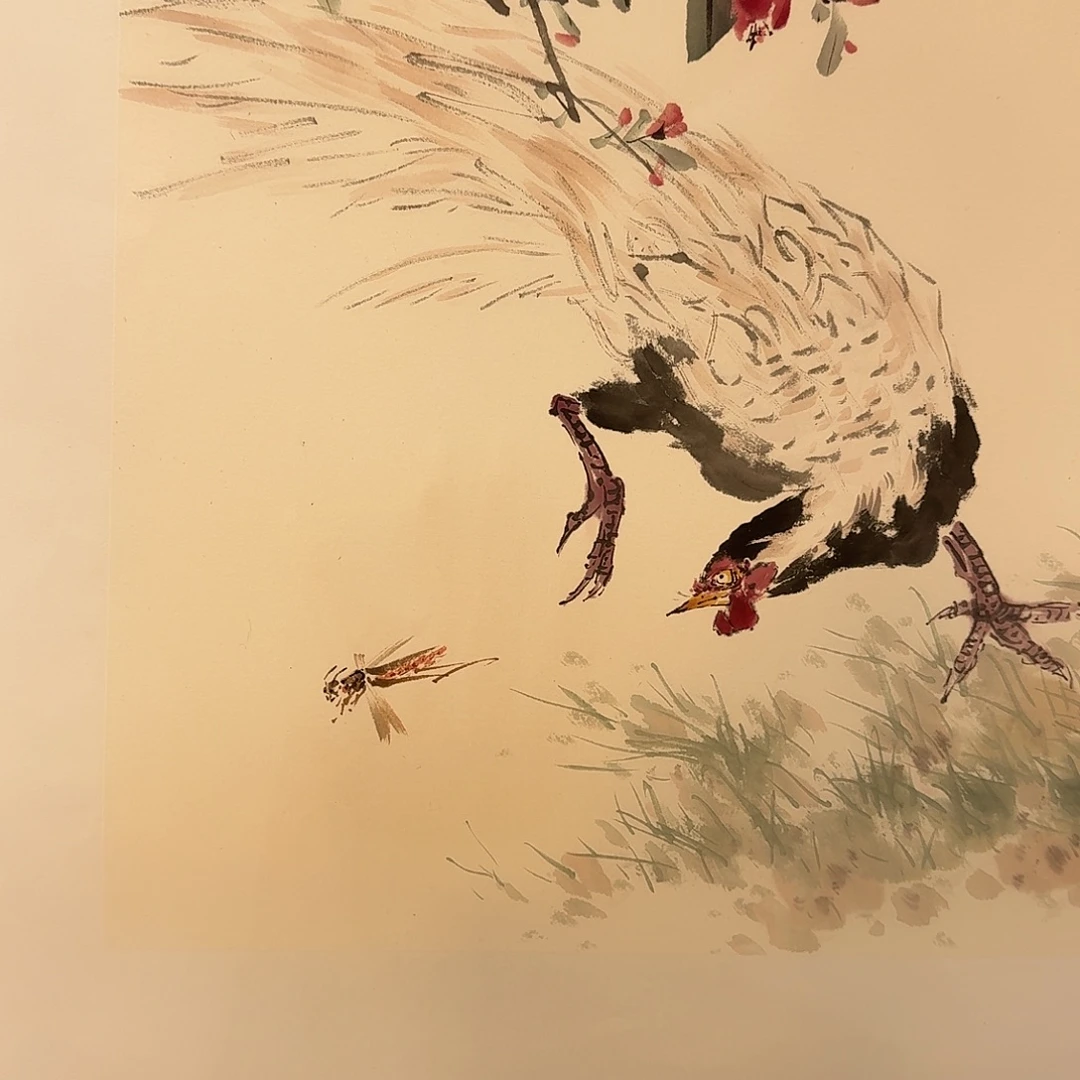 国画新号开播福利多多