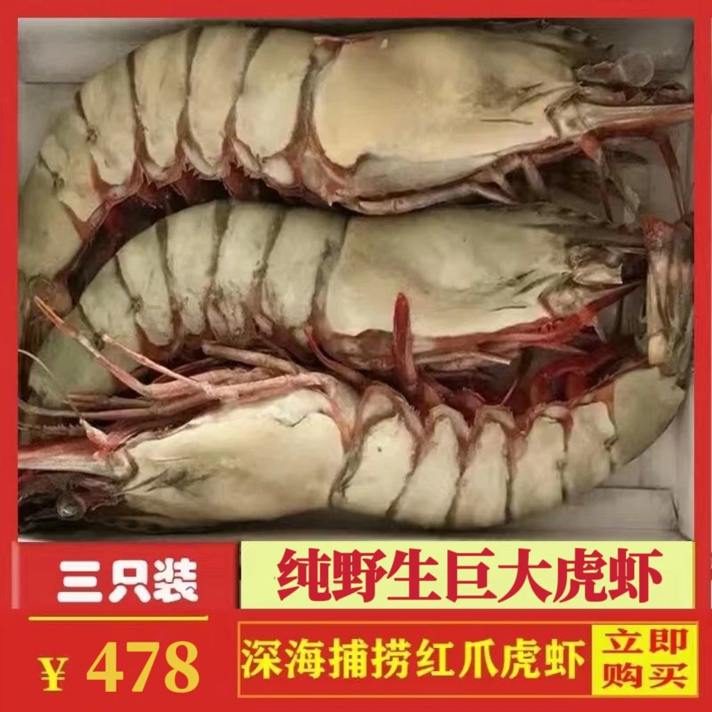 黑虎虾超大特大号大对虾虎头虾巨大号鬼虾特大红爪虾冷冻大老虎虾