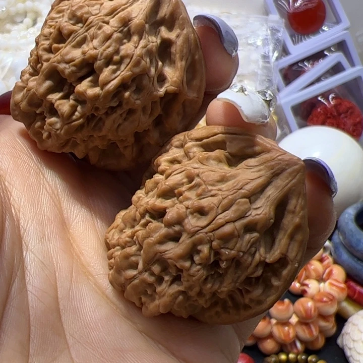 大果紫檀（缅甸花梨）核桃