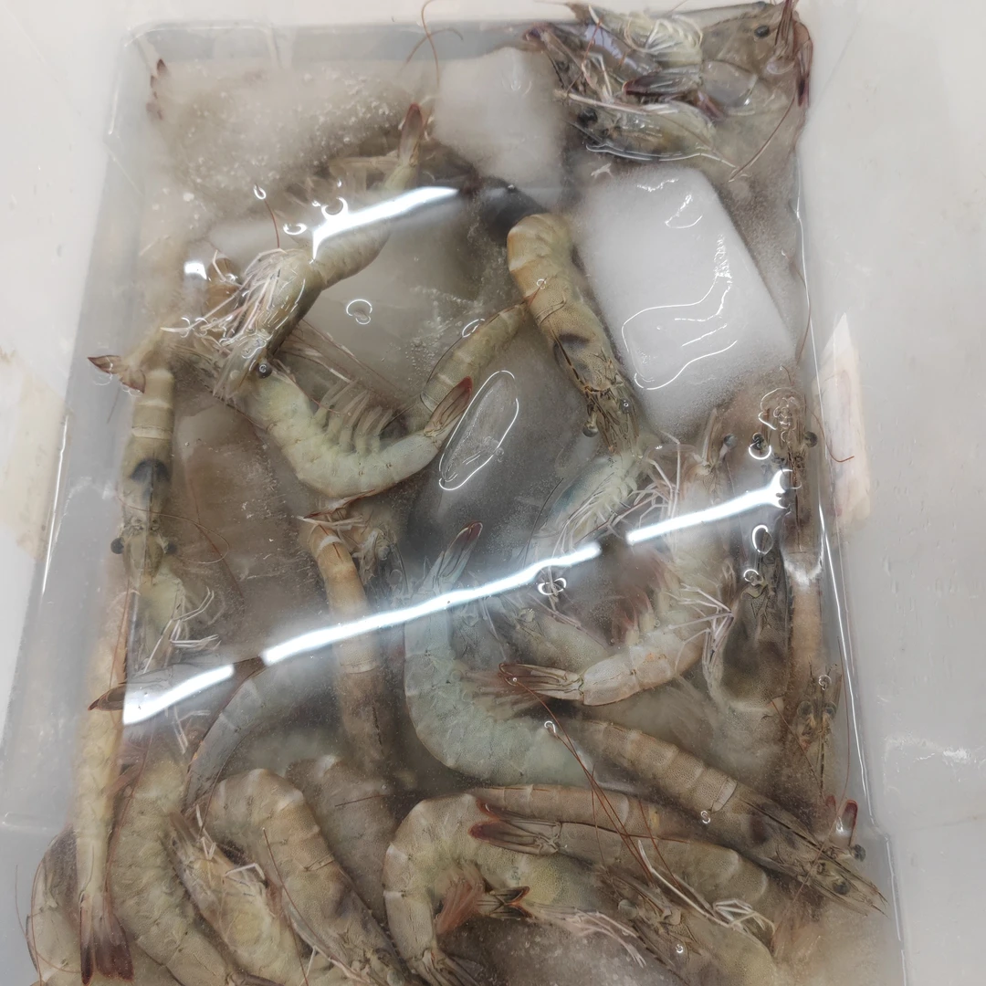 【深海白刺虾】精选品质 干货