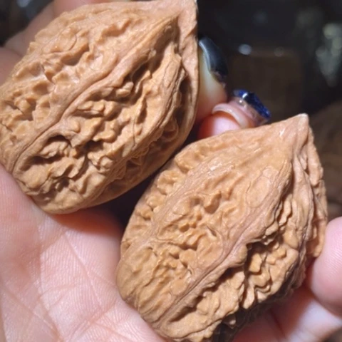 把件文玩核桃东北野生楸子小美75