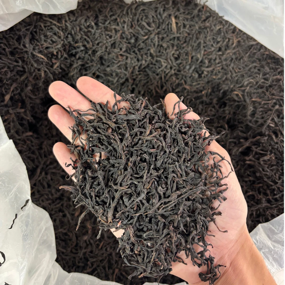 凤凰单丛蜜兰香回甘持久