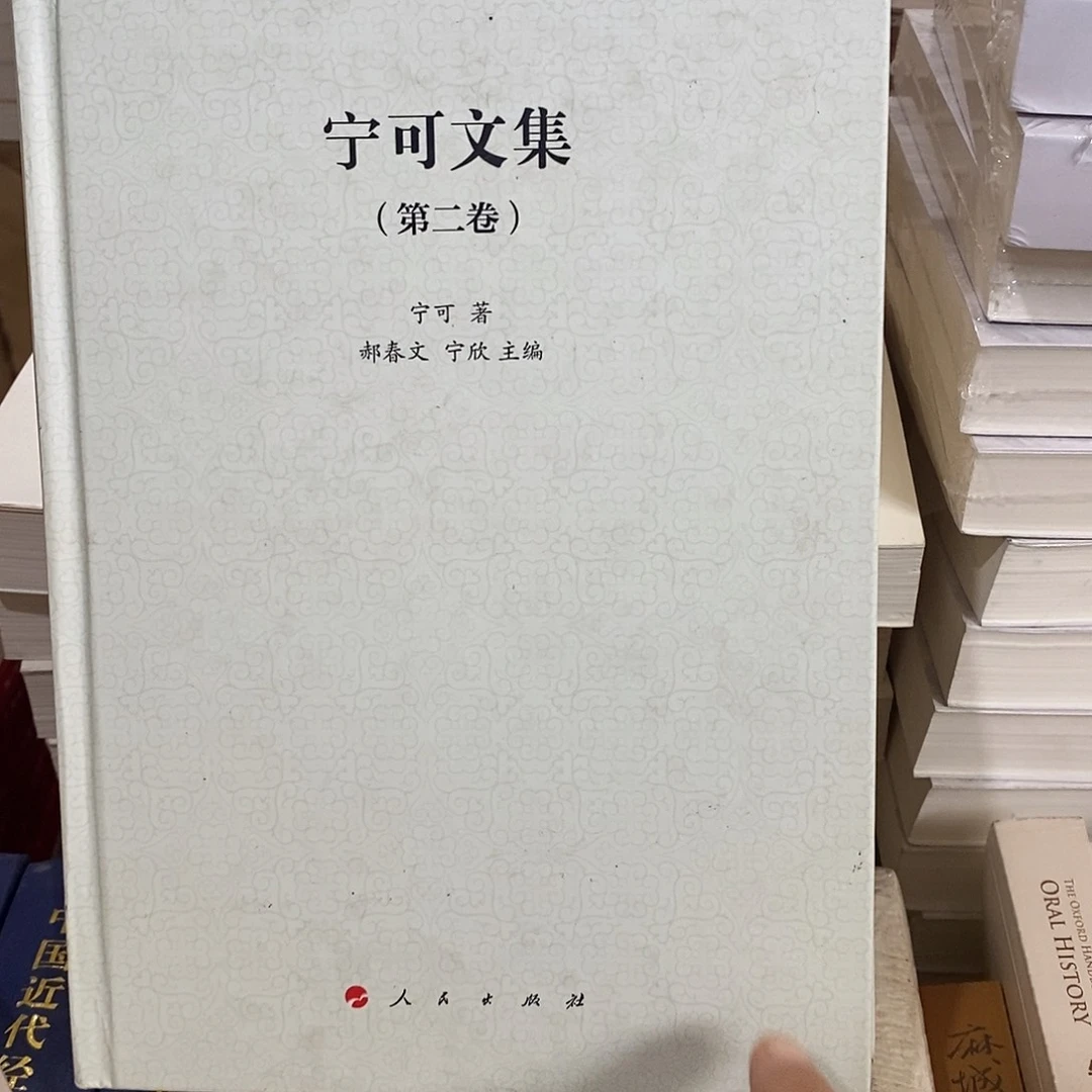 微瑕  宁可文集 第二卷