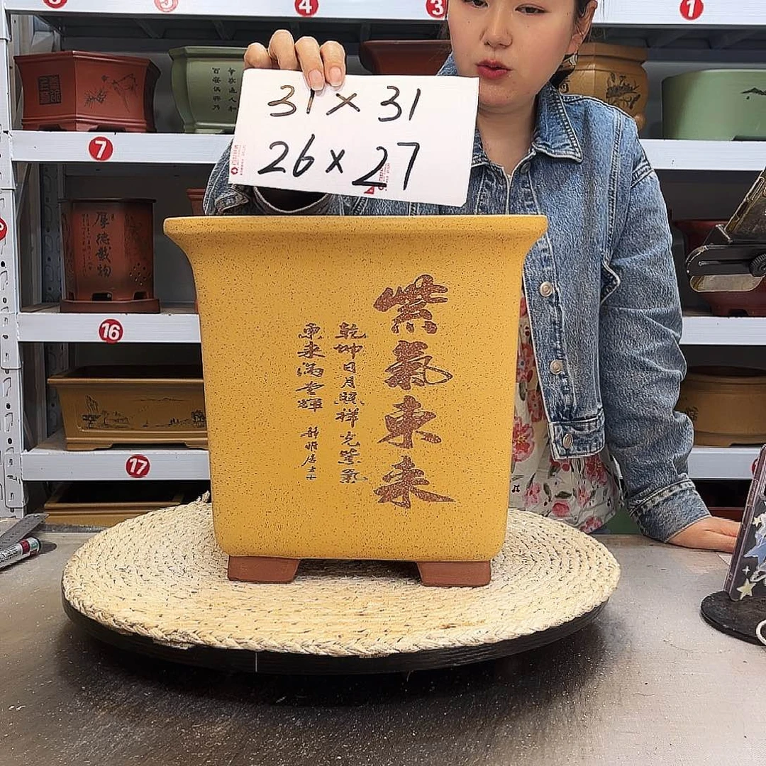 紫砂花盆紫砂花盆