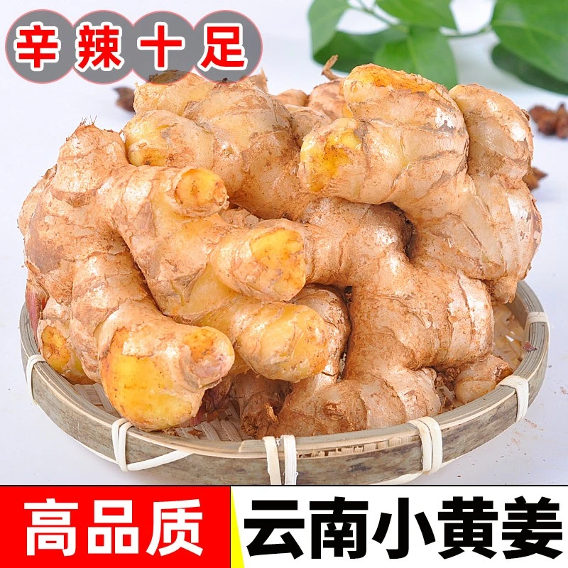 生姜云南高山小黄姜新鲜现挖老姜土姜子姜嫩姜新鲜蔬菜