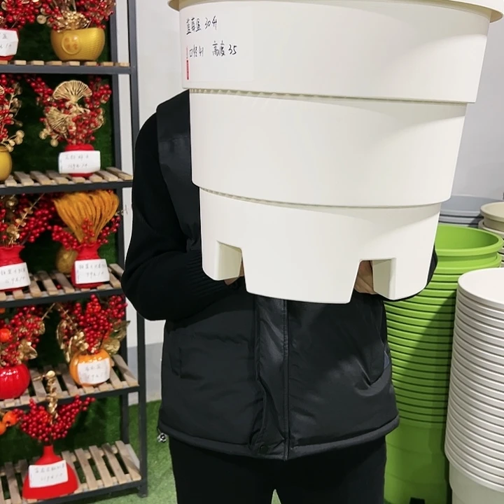 正品蓝莓口41高35白色3只无托