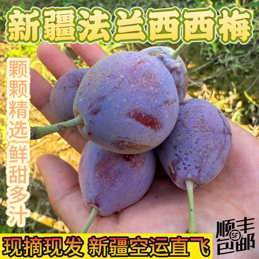 【顺丰空运】新疆正宗法兰西新鲜西梅脆甜多汁包邮