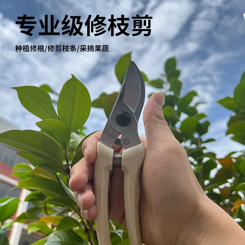 三喜树130修枝剪园林修枝剪树枝果枝修剪锋利省力修剪粗枝剪强力