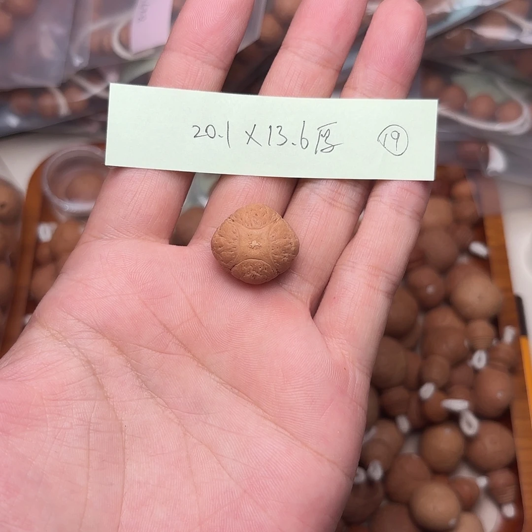 手串凤眼菩提麒麟三通