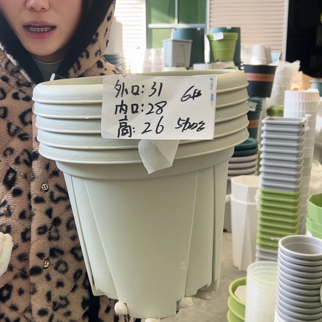 青山盆6#米白5个无托