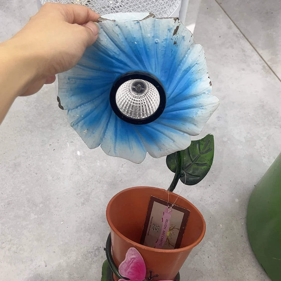 孤品炸炸炸给力哈哈哈哈哈