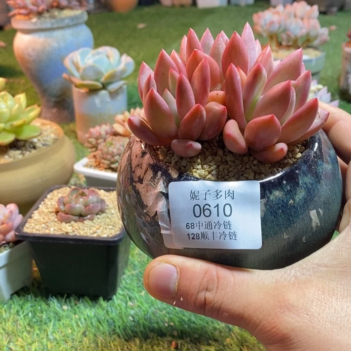 0610啊啊啊啊啊啊啊啊啊啊