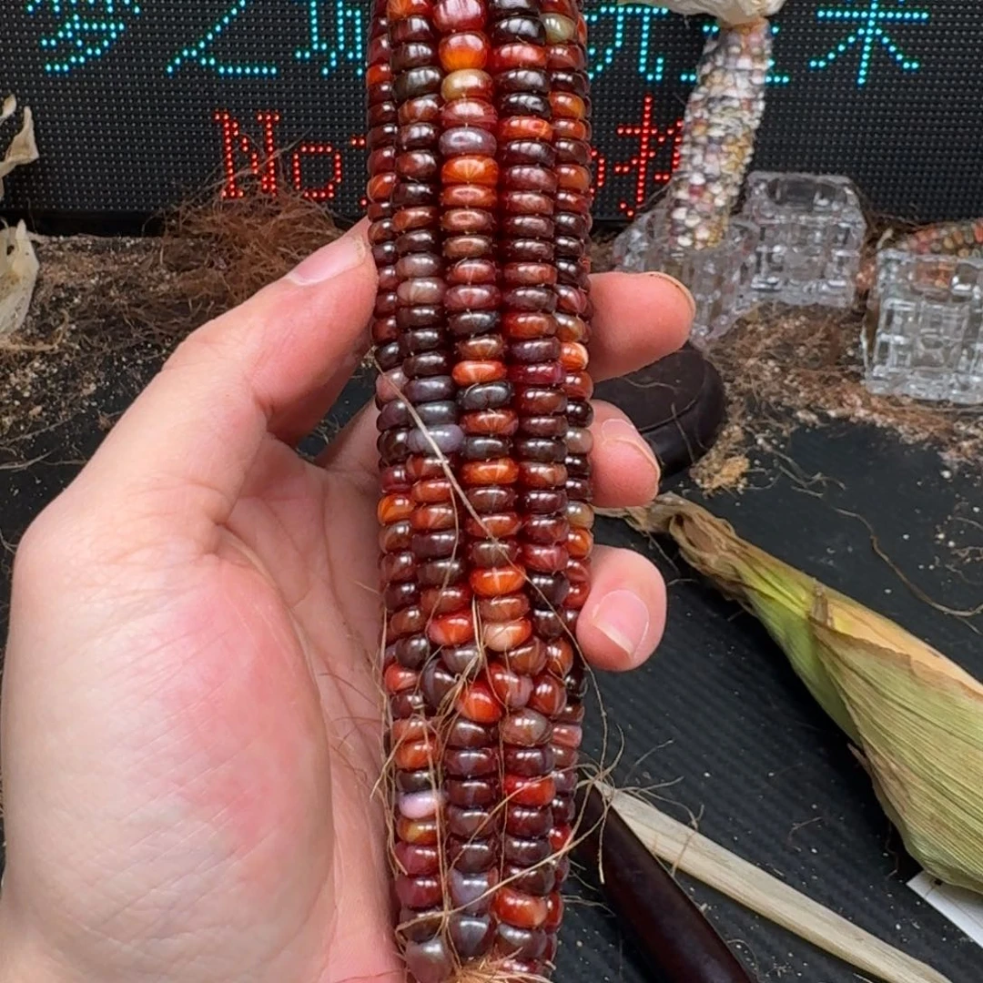 柏香籽/百香籽吊坠L*