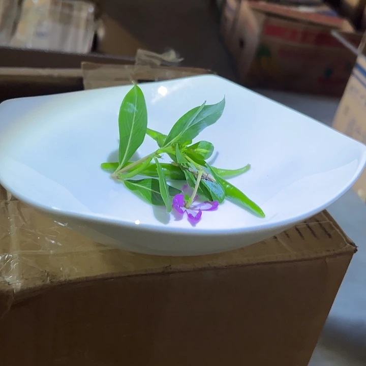 方***书国营尾货骨瓷贵龙方盘一个