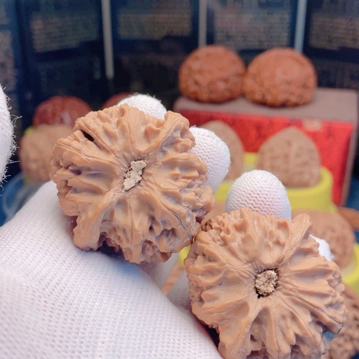 落***子文玩核桃吊坠41苹果