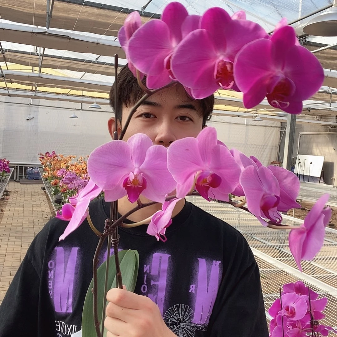我****完全开放明尼阿波利斯两颗