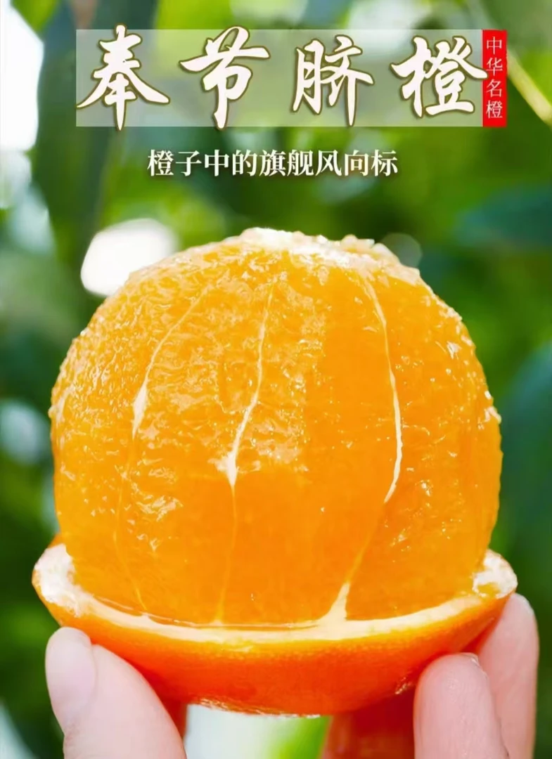 奉节脐橙当季水果新鲜采摘脐橙