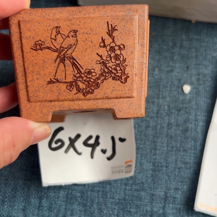 呜呜呜太好看太好看