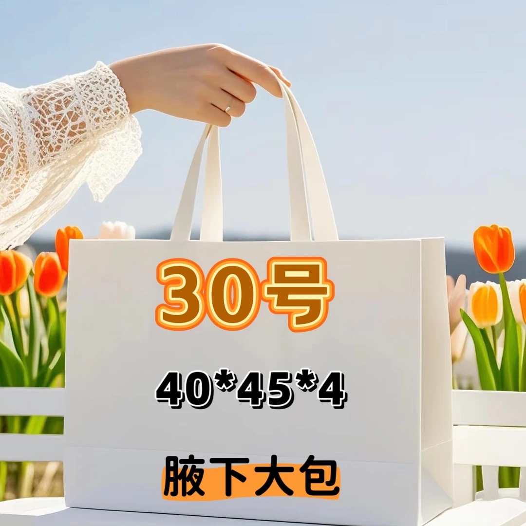 30号（S）菱格纹时尚经典icra大包腋下包