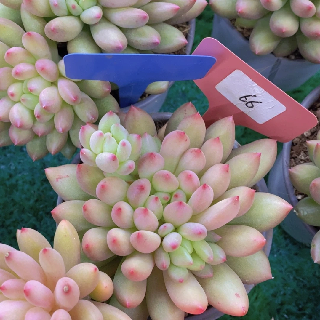 清货专场，满5宋1了