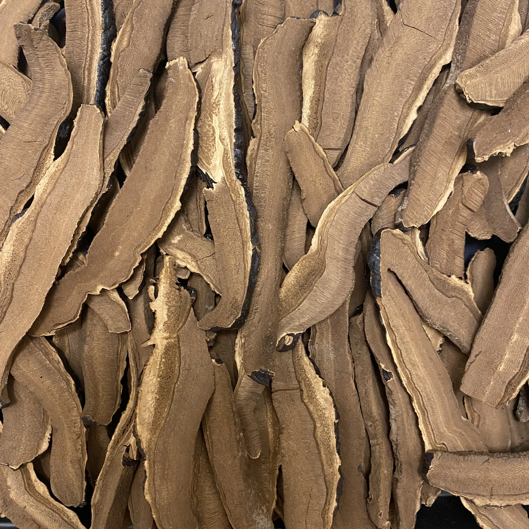 【黑芝芝片】大片黑芝 可搭枣煲汤