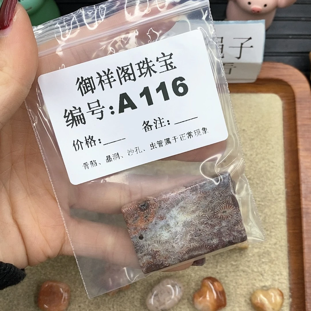 硅化珊瑚（珊瑚玉）A未镶嵌元*