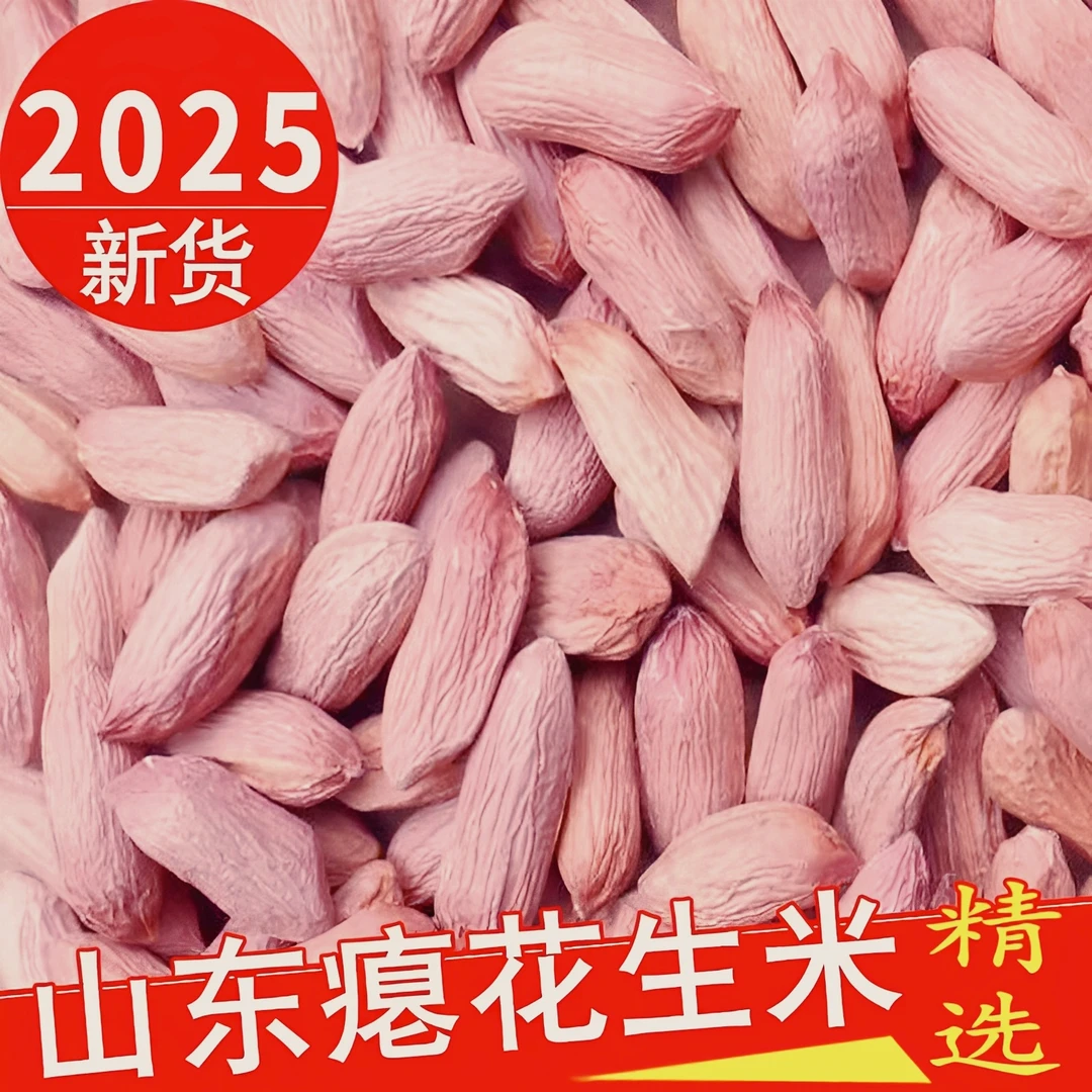 当季25年粉红皮生瘪花生米新货山东农家手工挑选新鲜秕子甘甜低油